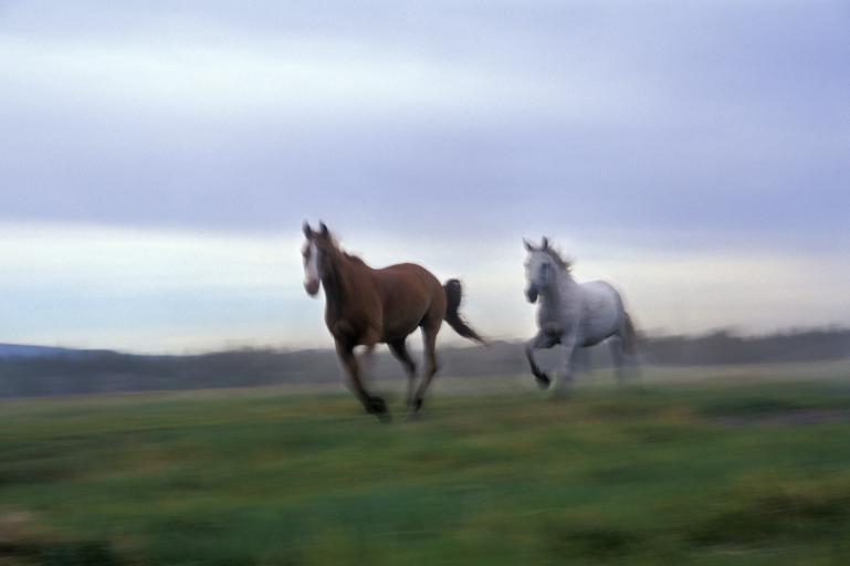 Rideudstyr