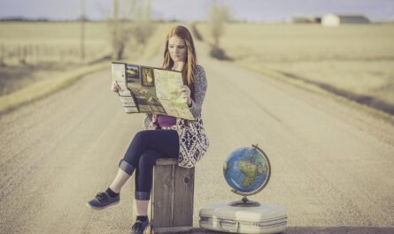 globe trotter, traveller, globe