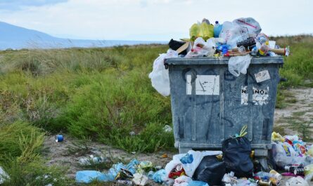garbage, waste container, waste