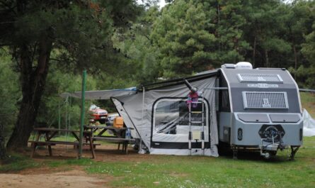 A caravan set up in a tranquil forest campsite with wooden tables and lush greenery.