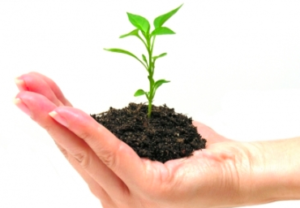 skaermbillede-2016-10-02-kl-21-09-08