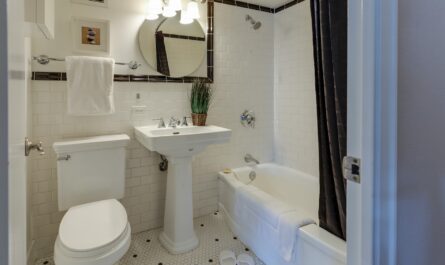 white ceramic toilet bowl beside pedestal sink